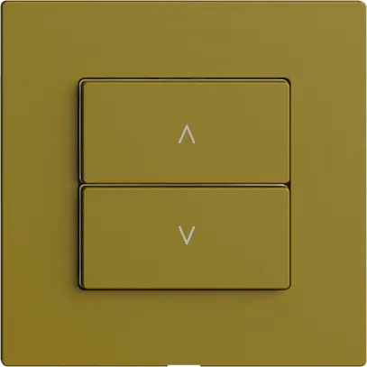 Commande pour interrupteur stores 1c/2t Edue Wiser olive 