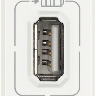 Presa di carica USB INS Axolute 1 modulo, singolo bianco 