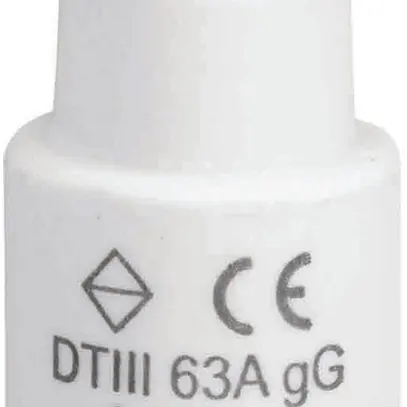 Fusible D DTIII 63A 500V gG avec indicateur 