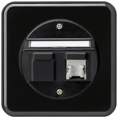 Insert pour prise ENC basico C cat.5e 1×RJ45/u sortie oblique noir 