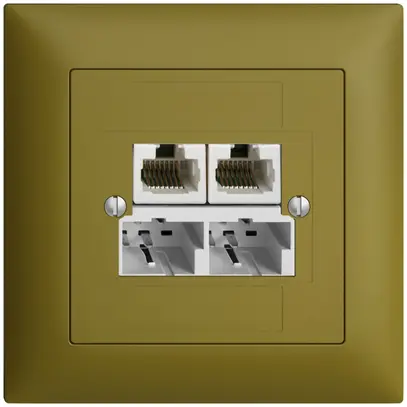 Boîte ENC SOHO 2×TT/2×RJ45/u sép.ITplus EDIZIOdue olive 
