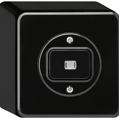 Interruttore AP basico luminoso 6/1L nero 