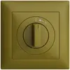 Frontset EDIZIOdue 0<-1 olive 88×88mm für Schwenktaster 