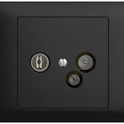 Prise de données INC TV-R DD23 5…65MHz EDIZIOdue noir 