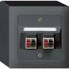 Presa AP audio kallysto 2×antracite morsetto per 2 altoparlante 