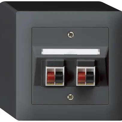 Prise AP audio kallysto 2×anthracite borne à étrier pour 2 haut-parleurs 