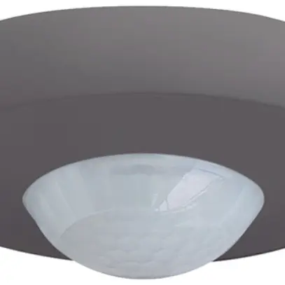 Rilevatore di presenza INC Luxomat PD2N-KNXs-ST-UP grigio scuro 