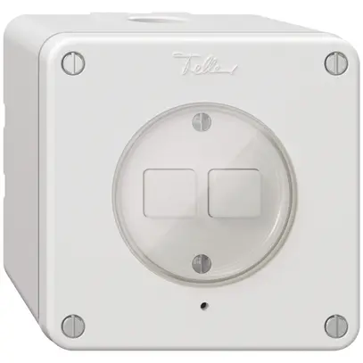 AP-Nebenstelle 2K/2T zu Druckschalter NEVO Wiser weiss 