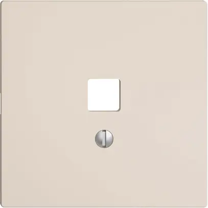 Kit frontal EDIZIOdue crema 60×60mm pour interface USB 