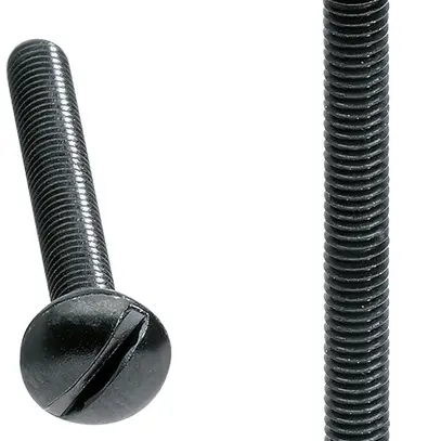 Vis Hager pour robusto IP55 26mm noir jeu de 100 pièces 