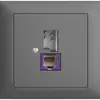 Presa INS T+T 6P/1×RJ45 DSL-a banda larga grigio scuro EDIZIOdue 