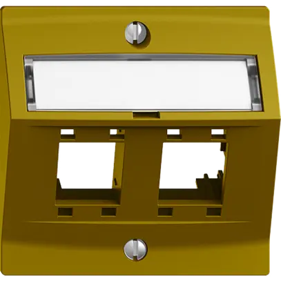 Kit montaggio EDIZIOdue, con cappa di uscita obliqua, per 2×RJ45, olive 