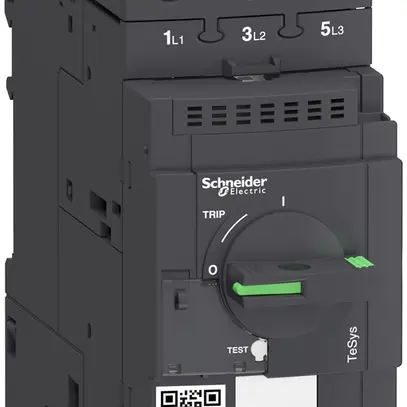 Salvamotore Schneider Electric GV3L50 50A 
