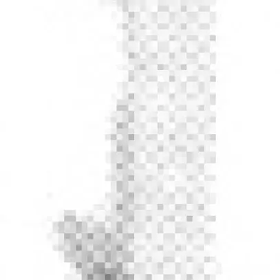 Dispositif de plombage Weber ABT-PV 