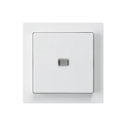 Interrupteur poussoir lumineux ENC kallysto 3/2P blanc 