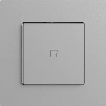 Szenentaster 1 Szene/1T Edue Wiser silver 