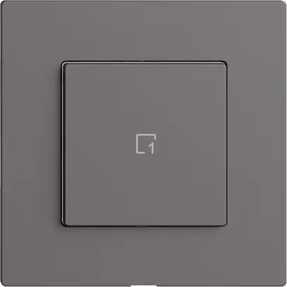 Comando per pulsante scena 1 scena/1T Edue Wiser grigio scuro 