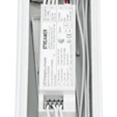 Illuminazione di emergenza RTS 1.5M 50W 8WIRE WD DALI 12W 3h bianco 