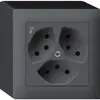 Prise AP kallysto 3×T13/1 anthracite avec sécurité enfants 