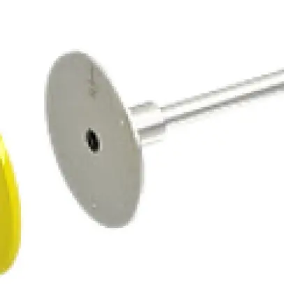 Point fixe de terre Bettermann FUAS1 M10 