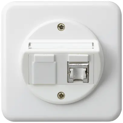 Insert pour prise ENC basico C cat.6 1×RJ45/s sortie oblique blanc 