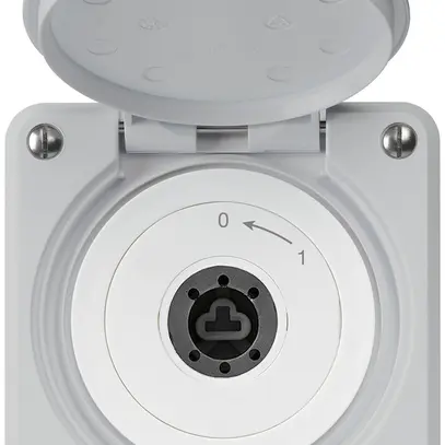 Contatto rotativo a chiave INC robusto IP55 grigio c.coperchio senza cilindro 2P 