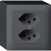 AP-Steckdose kallysto 2×T13 anthrazit 
