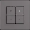 Stazione secondaria per dimmer 2c/4t WLAN Edue Wiser grigio scuro 