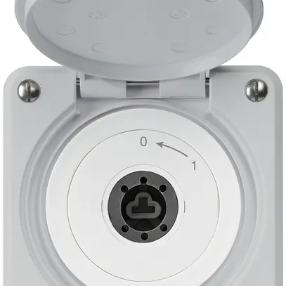 Contatto rotativo a chiave INC robusto IP55 grigio c.coperchio senza cilindro 1P 