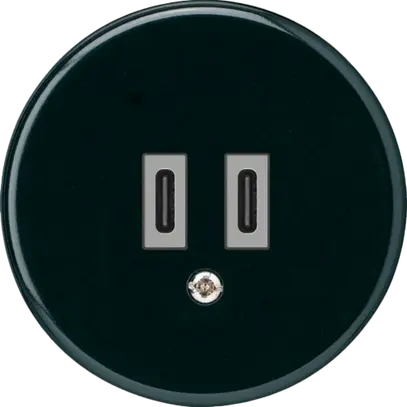 Prise de charge USB Hager basico C-C 20W 5V noir 