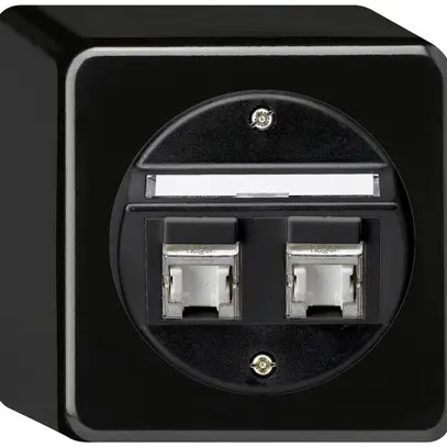 Scatola di raccordo AP basico cat.6 2RJ45/s nero 