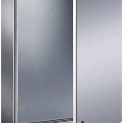 Armadio compatto Rittal AE, 1 porta, IP66, 500×500×300mm, acciaio pregiato 