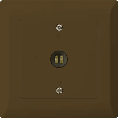 Interrupteur à clé à canon ENC kallysto.line 0/1L brun 