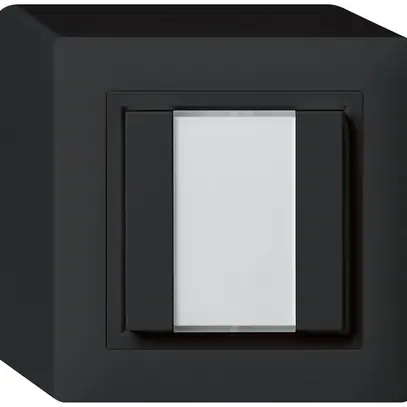 Pulsante universale AP 2×KAL senza LED nero 
