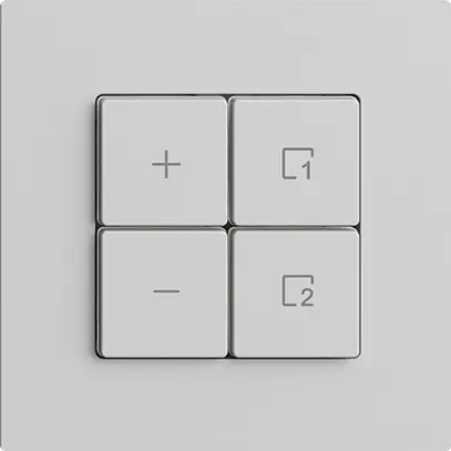 Variateur Uni-LED 1K/4T scène WLAN Edue Wiser gris clair 