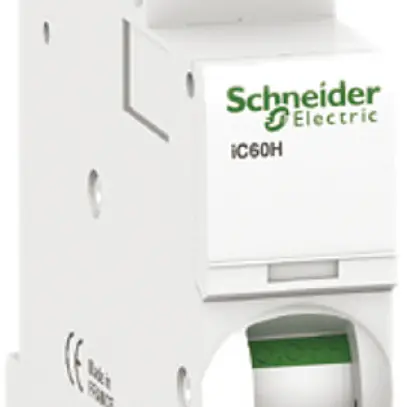 Disgiuntore Schneider Electric iC60N 1P 2A D 6kA 