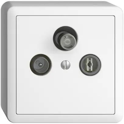 Prise d'antenne AP SAT/TV/R DB53 EDIZIOdue blanc avec SAT-F 