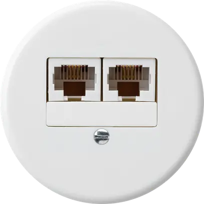 Insert pour boîte ENC basico 2×RJ45u parallèle blanc 