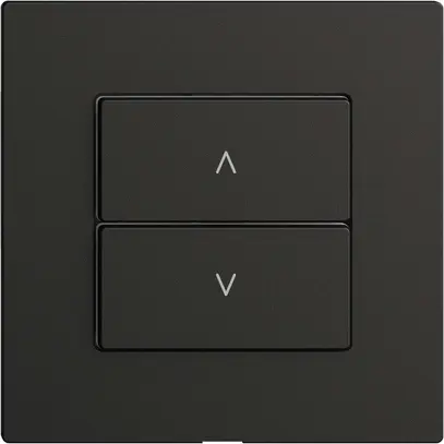 Interrupteur stores 1K/2T Edue Wiser noir 