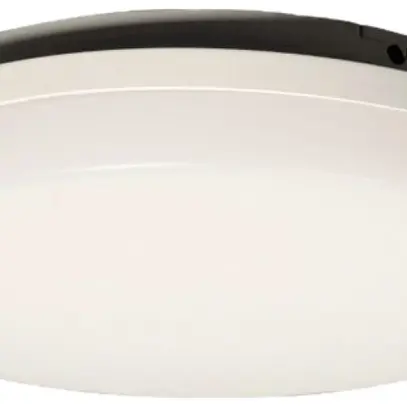 Plafoniera LED Z-Licht FlachLED 24W 2050lm 4000K IK8 Ø330mm IP65 bianco 