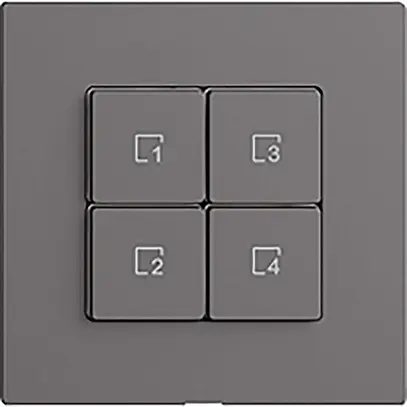 Szenentaster 4 Szenen/4T Edue Wiser dunkelgrau 