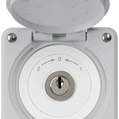 UP-Schlüsselschwenktaster robusto IP55 grau mit Deckel Wechsler 