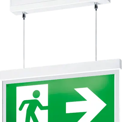 Lampada di segnalazione vie di fuga a sospensione VOYAGER STYLE 150 MS-WF15 E3T SM-S WH 