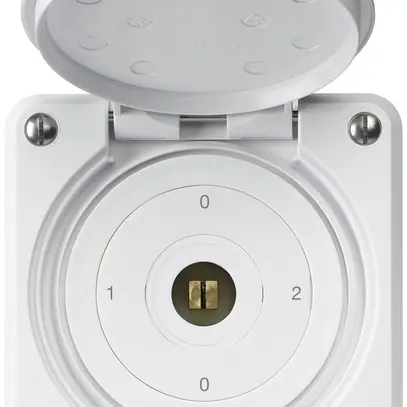 Interruttore a chiave quadrata INC robusto IP55 con coperchio S2/1P bianco combi 