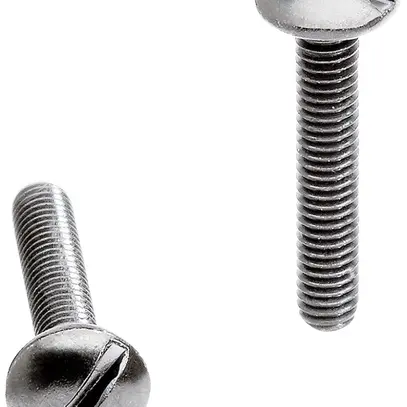 Schraube Hager für robusto, 16mm, Edelstahl, Set à 20 Stück 