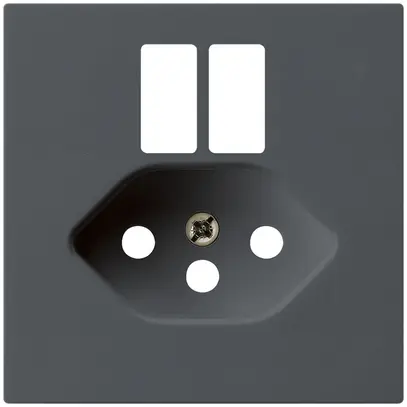 Placca frontale kallysto per presa 2×USB & T13 antracite 