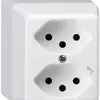 AP-Steckdose basico 2×Typ 13/1S weiss 