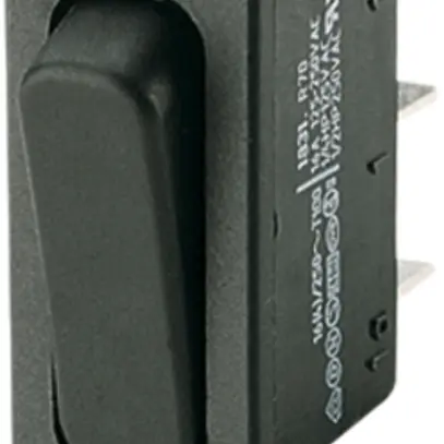 Interruttore a bilico INS Novitronic, 20A/250V 0/1L, ne 