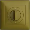 Kit frontale EDIZIOdue 0-1-0-1 88×88mm olive per interruttore rotativo 