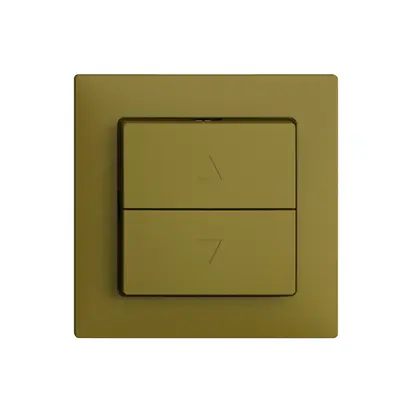 Kit frontal EDIZIOdue F olive pour poussoir & interrupt.stores 